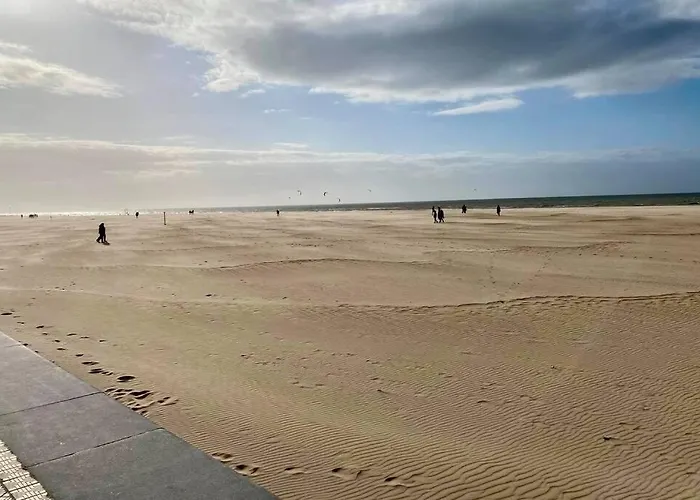 Appartement D'o - Nieuw Dichtbij Zee! *